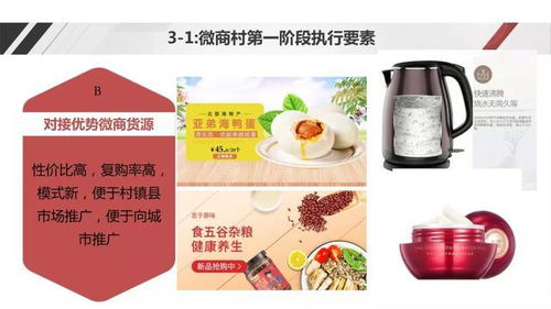 電商社交新模式助力農產品上行——野農優品創始人勾英達談配送服務創新